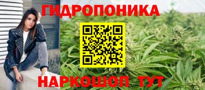 таблы Бийск