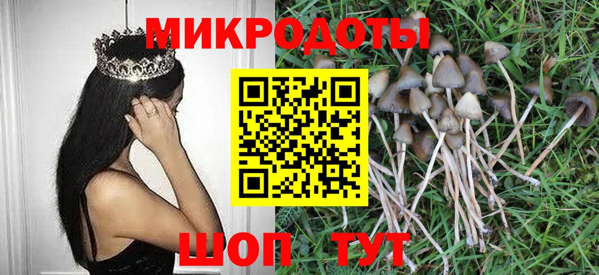 где найти   Вход с VPN  Качканар  Псилоцибиновые грибы мухоморы 