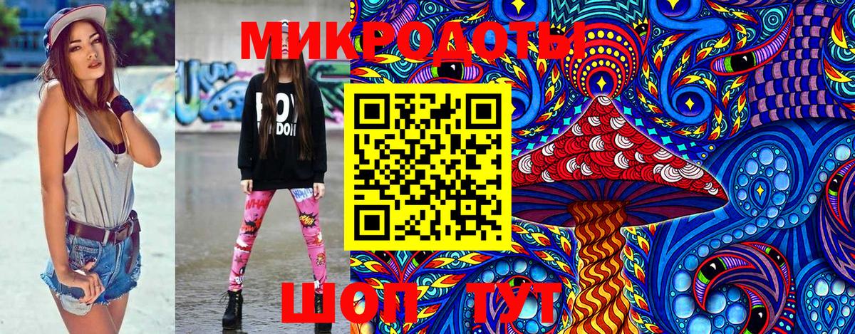 Псилоцибиновые грибы Magic Shrooms Качканар
